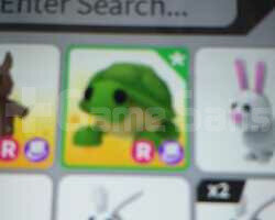 R turtle adopt me