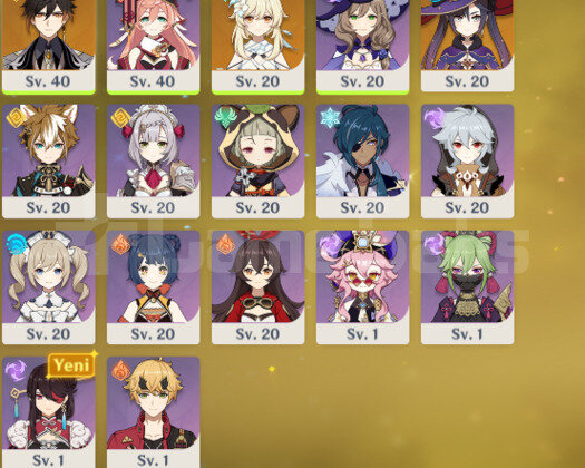Rank 18 Zhongli + Rate up