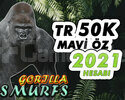 TR 50K MAVİ ÖZ ESKİ TARİHLİ HESAP 2021