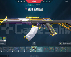 ASİL VANDAL VE YAĞMACI PHANTOM TR HESAP