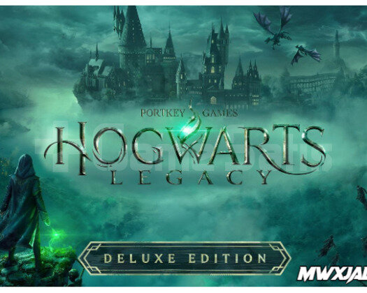Hogwarts Legacy Deluxe Edition + 2 Oyun