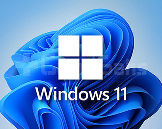 WİNDOWS 11 PRO KEY/GARANTİLİ +650İŞLEM