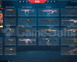 100PASİF100TR ONİ PHANTOM + İYON OP + RGX KE