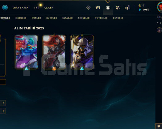 TR 80 WR Gold 4 DİA ELO BOL KOSTÜM BOL ÇAR