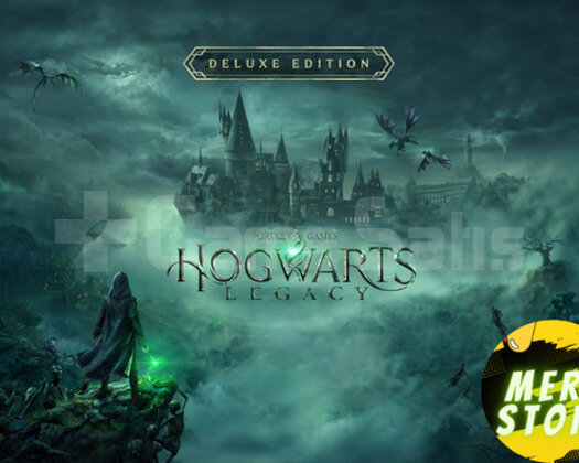 GUARDSIZ Hogwarts Legacy Deluxe Edition