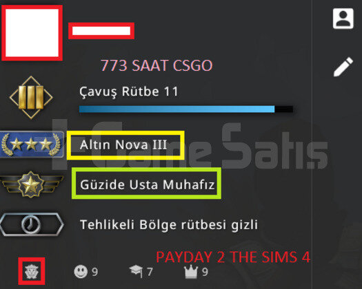 YEŞİL FAKTÖR NOVA 3 TÜRK HESABI