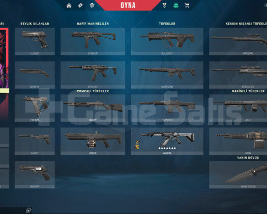 Unranked+Yağmacı vandal+116 vp