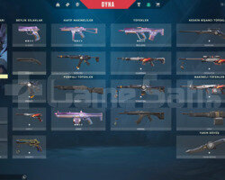 SKİNLİ ALTIN 1 HESAP