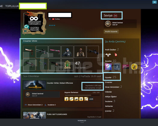4 MADALYA 320 TL ENVANTER ILK MAIL CSGO TURK HESAP