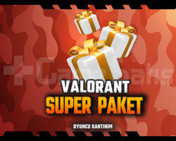 VALORANT SUPER PAKET - EFSANE 2 HESAP