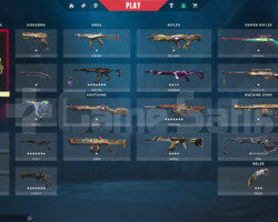 İmmortal Champions Vandal Set