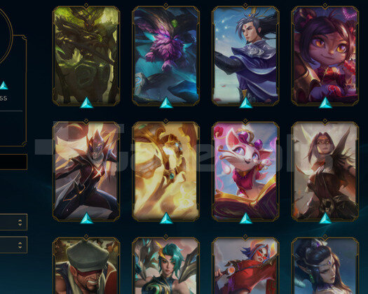 EUW bol hero bol skin  euw hesap 100 e yakın hero