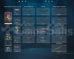 ELMAS 3 , ONİ PHANTOM VE ASİL VANDAL SKİNLİ  HESAP