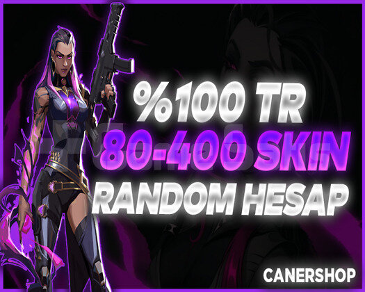 +800 SATIŞ/ TR SUNUCU 80-400 SKİN DOPDOLU HESAP