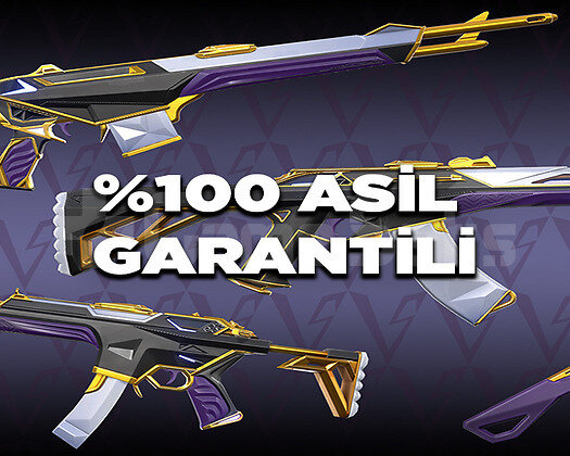 +900 SATIŞ / TR SUNUCU ASİL SKİN GARANTİLİ HESAP