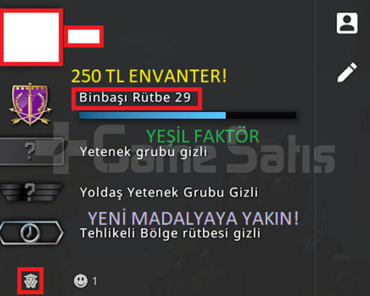 250TL ENVANTER YEŞİL FAKTÖR TÜRK HESAP