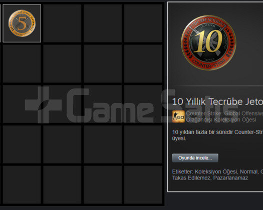10+5 YIL JETONLU CSGO İLK MAİLLİ+TR