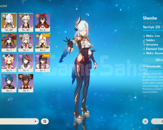 Rank 12 Shenhe Kazuha + Rate up