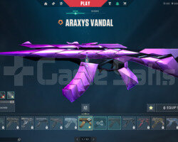 Valorant artı lol hesabı