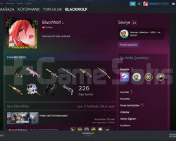 CSGO prime + PUBG ranked açık STEAM HESABI