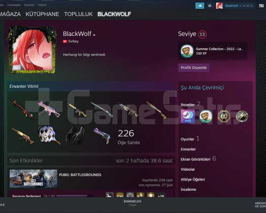 CSGO prime + PUBG ranked açık STEAM HESABI