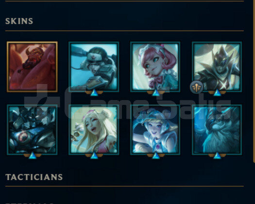 EUW SİLVER 2 2 KOSTUM HESAP