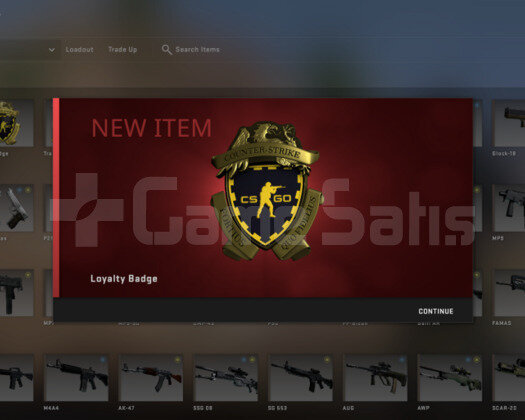 Csgo Prime Sadak Rozetli Yeşil faktör
