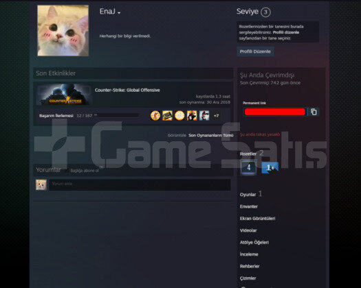 Csgo Prime Sadak Rozetli Yeşil faktör