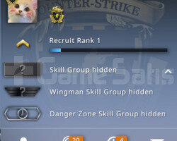 Csgo Prime Sadak Rozetli Yeşil faktör