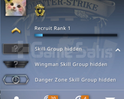 Csgo Prime Sadak Rozetli Yeşil faktör