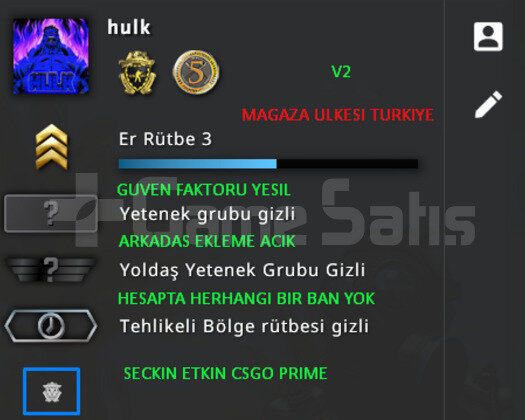 2 MADALYA | PRIME CSGO | MAGAZA TR YESIL FAKTOR
