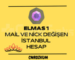 MAİL VE NİCK DEĞİŞEN, ELMAS 1 TR HESAP
