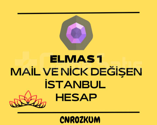 MAİL VE NİCK DEĞİŞEN, ELMAS 1 TR HESAP