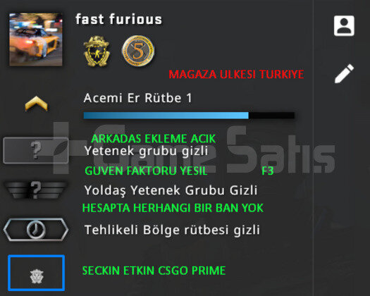 2 MADALYA | PRIME CSGO | MAGAZA TR YESIL FAKTOR
