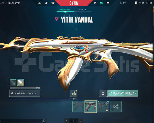 GOLD 1 SKİNLİ HESAP
