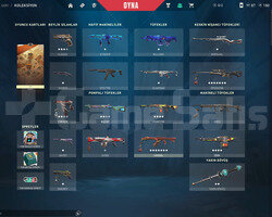 GOLD 1 SKİNLİ HESAP