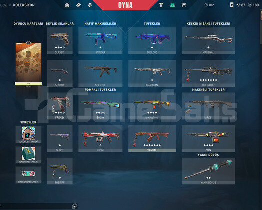 GOLD 1 SKİNLİ HESAP