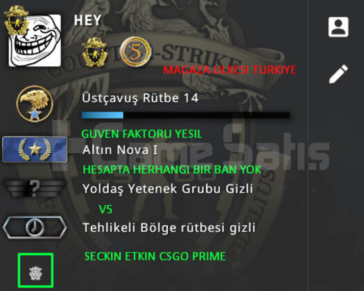 2 MADALYA | PRIME CSGO | MAGAZA TR YESIL FAKTOR