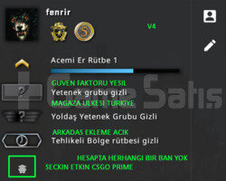 2 MADALYA | PRIME CSGO | MAGAZA TR YESIL FAKTOR
