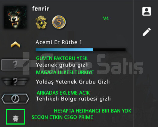 2 MADALYA | PRIME CSGO | MAGAZA TR YESIL FAKTOR