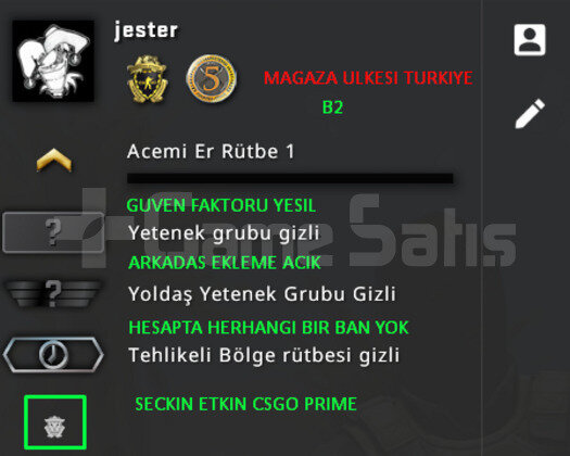 2 MADALYA | PRIME CSGO | MAGAZA TR YESIL FAKTOR