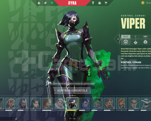 plat 2 skinli hesap