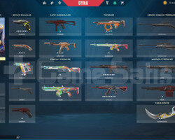 plat 2 skinli hesap