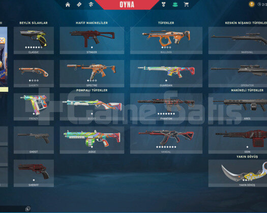 plat 2 skinli hesap