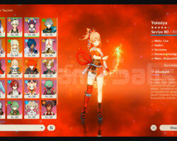 Rank 49 10x5 Yoimiya Yelan Al haitham 2xpulse