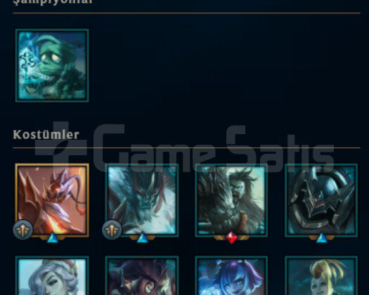 TR SİLVER 2 15K MAVİ ÖZ 6 KOSTUM HESAP