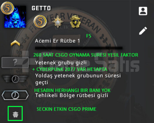 CSGO PRIME 3 MADALYA YESIL FAKTOR + CYBERPUNK 2077