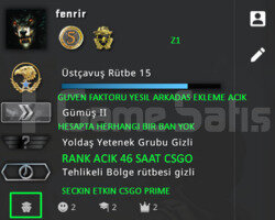 2 MADALYA | RANK ACIK | GUVEN FAKTORU YESIL