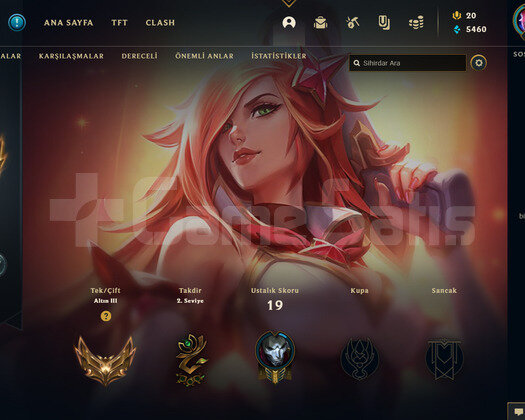 TR Gold 3 | 10 Kostüm - 33 Hero | LoL Hesap