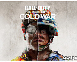 Call of Duty Black Ops Cold War + Garanti